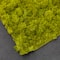 SuperMoss&#xAE; Instant Green&#xAE; Sticky All-Purpose Moss Mat